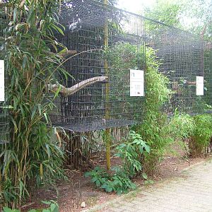 Recuperation cages at NOP, Veldhoven 16/05/09