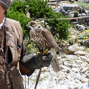Garden of the Eagles in Benalmadena, 2 May 2009