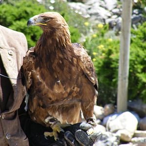 Garden of the Eagles in Benalmadena, 2 May 2009