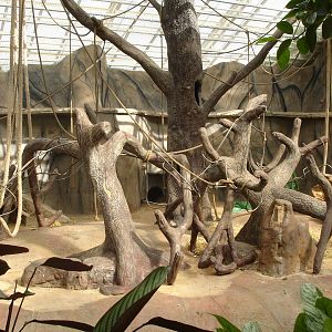 Monkeyless exhibit