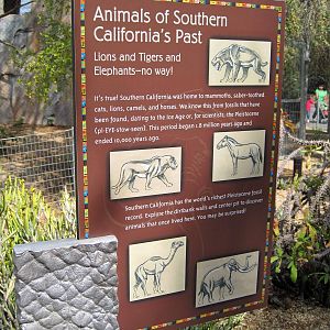 Elephant Odyssey - Opening Day