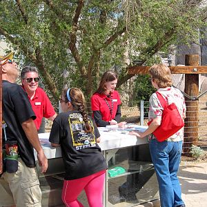 Elephant Odyssey - Opening Day