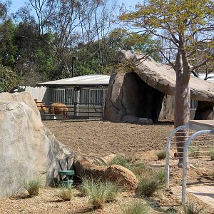 Elephant Odyssey - Opening Day