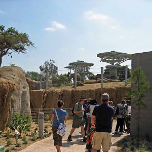 Elephant Odyssey - Opening Day