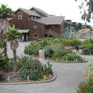 African Savanna Entry