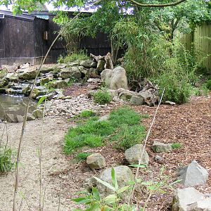 Asian small-clawed otter enclosure at Drusillas Park, 23 May 2009