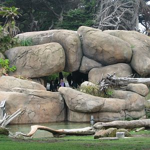 African Savanna - Entry Tunnels