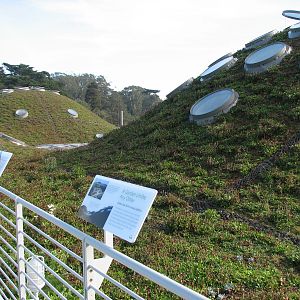 California Academy of Sciences