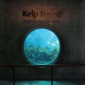 Kelp Forest