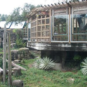 Asian Gardens Sloth Bear Exhibit