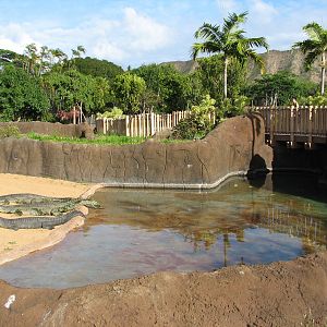 Gharial exhibit