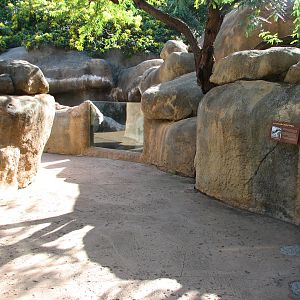 African Savanna Reptile Exhibits