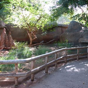 African Savanna Meerkat Exhibit