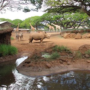 African Savanna Exhibit