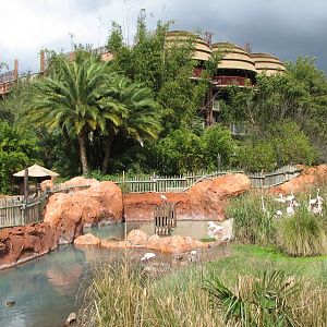 Uzima Savanna - Greater Flamingo Area