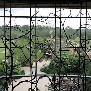 Jambo House Lobby - View of Arusha Savanna