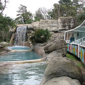 Wilds of Africa Monorail