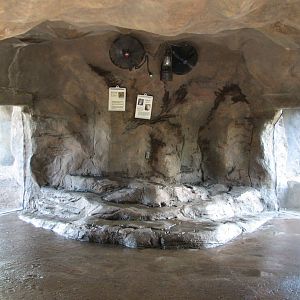 Edge of Africa Rotating Lion or Hyena Exhibit