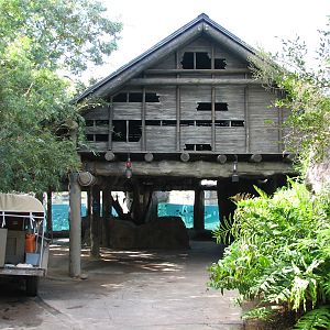 Edge of Africa Hippopotamus Exhibit