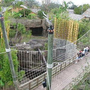 Jungala Bridge Over Tiger Exhibit