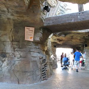 Jungala Tiger Exhibit