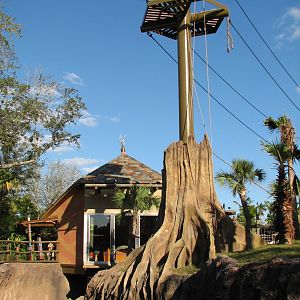 Jungala Orangutan Exhibit