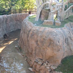 Jungala Orangutan Exhibit