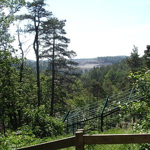 View from the boardwalk - Fjord?