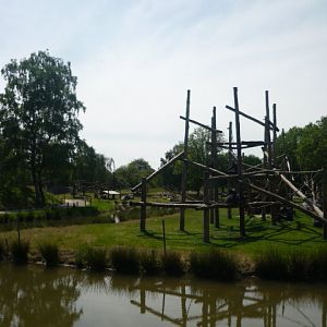 Chimp Outdoor Exhibit
