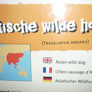 Lowland Nyala = Dhole ?