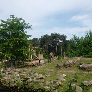 Malayan Sunbear Exhibit