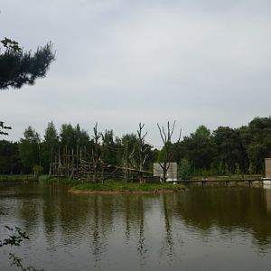 Japanese Macaque exhibit