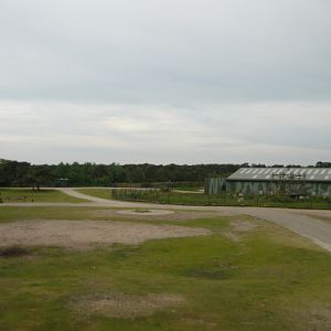 Southern White Rhino Exhibit with Gorilla/chimp indoor house