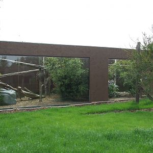 Fossa enclosure photos, Rare Species Conservation Centre, Sandwich