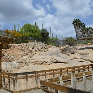 Bighorn Sheep Exhibit