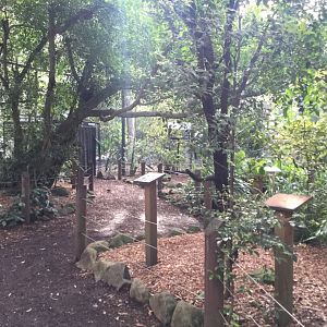 Forest Fringe Aviary Interior