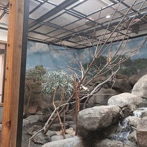 Animals of the Savannah Building