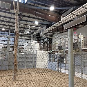 Animals of the Savannah Building