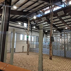 Animals of the Savannah Building