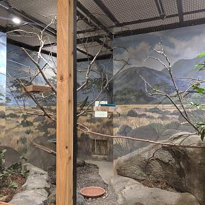 Animals of the Savannah Building