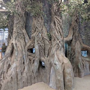 Animals of the Savannah Building