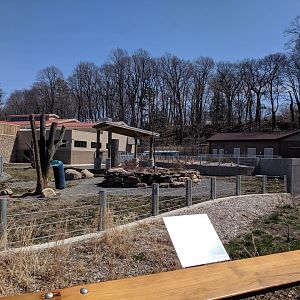 Animals of the Savannah