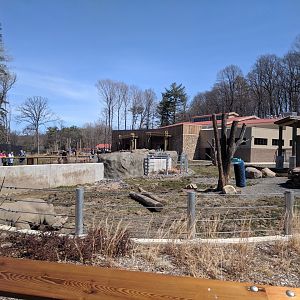 Animals of the Savannah