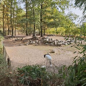 Red-crowned crane - Muntjac enclosure