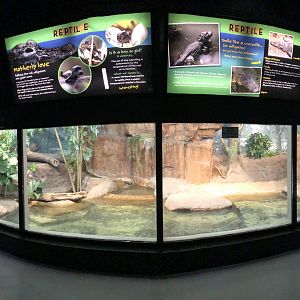 4/14/2019 - Chinese Alligator Habitat Panorama