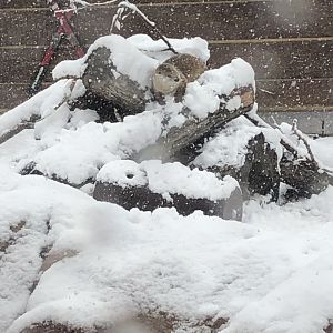 4/14/2019 - “Otterly” Snowy Out Here...