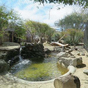 Jaguar Exhibit