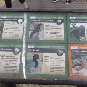 Walk-In Aviary Signage