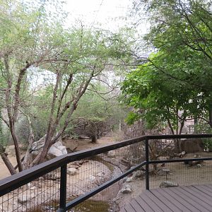 Walk-In Aviary