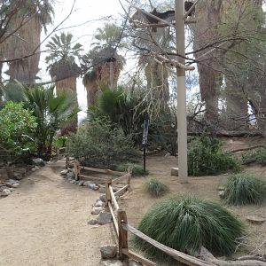 California Walk-Through Aviary